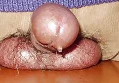 Negritos Bespettacled دختر سکس سوپر فارسی سفید و هیجان زده یافت و لحظه ای را گرفت