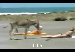 ترس از برادر بزرگتر و اوتارابانیل دوست دختر آبدار فیلم سوپر سکسی زیبا خود را