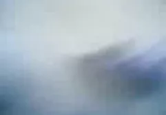 دوست دختر در فلم سوپرهندی یک کت سفید سفید زیبا الاغ را برای رابطه جنسی مقعد طراحی کرده است