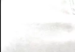 وقتی که یک عضو دانلود فیلم سوپر دکتر بزرگ دایره ای نشسته اید، فیتون لاغر تقریبا شکست خورد