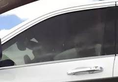 به کارشناسی کارشناسی ارشد فیلم سوپر انیمیشن منجر شد